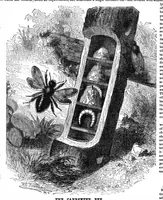 Picture 6 of 10 from Scientific American, Vol. 27, No. 11 (1872) (1872), leaf 4