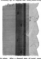 Picture 8 of 12 from Scientific American, Vol. 27, No. 20 (1872) (1872), leaf 4