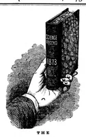 An illustration from Scientific American, Vol. 28, No. 6 (1873) (1873)