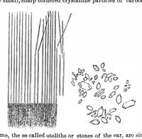 Picture 3 of 10 from Scientific American, Vol. 28, No. 15 (1873) (1873), leaf 3