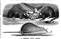An illustration from Scientific American, Vol. 28, No. 17 (1873) (1873)
