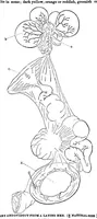 An illustration from Scientific American, Vol. 28, No. 22 (1873) (1873)