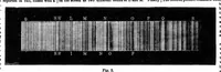 An illustration from Scientific American, Vol. 28, No. 22 (1873) (1873)