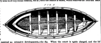 An illustration from Scientific American, Vol. 28, No. 23 (1873) (1873)