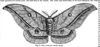 Picture 3 of 13 from Scientific American, Vol. 28, No. 25 (1873) (1873), leaf 3