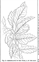 Picture 4 of 13 from Scientific American, Vol. 28, No. 25 (1873) (1873), leaf 3