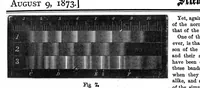 An illustration from Scientific American, Vol. 29, No. 6 (1873) (1873)