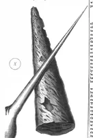 An illustration from Scientific American, Vol. 29, No. 9 (1873) (1873)