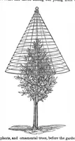 Picture 5 of 13 from Scientific American, Vol. 29, No. 14 (1873) (1873), leaf 3