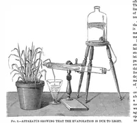 Picture 7 of 20 from Scientific American, Vol. 29, No. 15 (1873) (1873), leaf 4