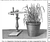 An illustration from Scientific American, Vol. 29, No. 15 (1873) (1873)