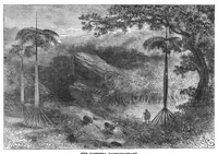 An illustration from Scientific American, Vol. 29, No. 23 (1873) (1873)