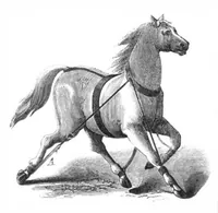 An illustration from Scientific American, Vol. 30, No. 2 (1874) (1874)