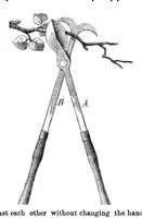 An illustration from Scientific American, Vol. 30, No. 3 (1874) (1874)