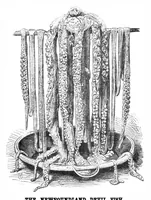 Picture 5 of 14 from Scientific American, Vol. 30, No. 12 (1874) (1874), leaf 4