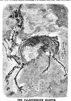Picture 3 of 11 from Scientific American, Vol. 30, No. 14 (1874) (1874), leaf 3