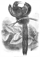 Picture 10 of 11 from Scientific American, Vol. 30, No. 14 (1874) (1874), leaf 8