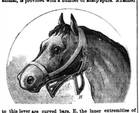Picture 4 of 14 from Scientific American, Vol. 30, No. 21 (1874) (1874), leaf 3