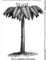 Picture 10 of 14 from Scientific American, Vol. 30, No. 21 (1874) (1874), leaf 8