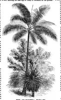 Picture 9 of 14 from Scientific American, Vol. 30, No. 22 (1874) (1874), leaf 8