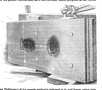 Picture 3 of 13 from Scientific American, Vol. 30, No. 23 (1874) (1874), leaf 2