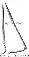 Picture 9 of 15 from Scientific American, Vol. 31, No. 2 (1874) (1874), leaf 7