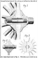 Picture 10 of 15 from Scientific American, Vol. 31, No. 7 (1874) (1874), leaf 7