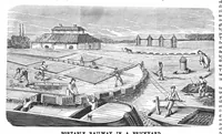 Picture 4 of 9 from Scientific American, Vol. 31, No. 9 (1874) (1874), leaf 3