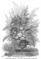 An illustration from Scientific American, Vol. 31, No. 9 (1874) (1874)