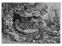 Picture 2 of 11 from Scientific American, Vol. 31, No. 12 (1874) (1874), leaf 3