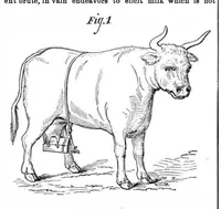 An illustration from Scientific American, Vol. 31, No. 16 (1874) (1874)