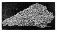 Picture 4 of 15 from Scientific American, Vol. 31, No. 25 (1874) (1874), leaf 3