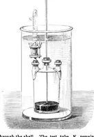 Picture 10 of 10 from Scientific American, Vol. 32, No. 4 (1875) (1875), leaf 10