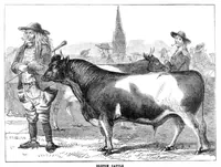 An illustration from Scientific American, Vol. 32, No. 10 (1875) (1875)