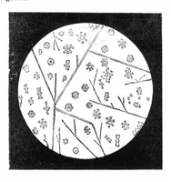 An illustration from Scientific American, Vol. 32, No. 12 (1875) (1875)