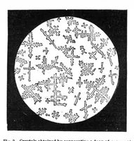 Picture 6 of 15 from Scientific American, Vol. 32, No. 12 (1875) (1875), leaf 3
