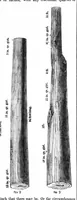 Picture 5 of 17 from Scientific American, Vol. 32, No. 13 (1875) (1875), leaf 3