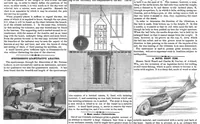 Picture 4 of 14 from Scientific American, Vol. 32, No. 15 (1875) (1875), leaf 3