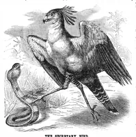 Picture 11 of 16 from Scientific American, Vol. 32, No. 17 (1875) (1875), leaf 8