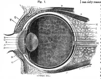 Picture 13 of 16 from Scientific American, Vol. 32, No. 17 (1875) (1875), leaf 9
