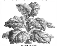 Picture 11 of 13 from Scientific American, Vol. 32, No. 18 (1875) (1875), leaf 8