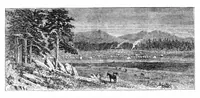 An illustration from Scientific American, Vol. 32, No. 19 (1875) (1875)