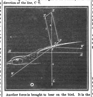 An illustration from Scientific American, Vol. 32, No. 19 (1875) (1875)