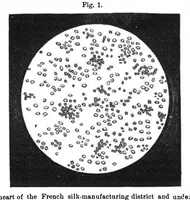 Picture 5 of 17 from Scientific American, Vol. 32, No. 24 (1875) (1875), leaf 3