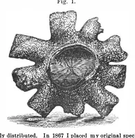 Picture 6 of 20 from Scientific American, Vol. 32, No. 25 (1875) (1875), leaf 4
