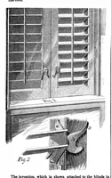 An illustration from Scientific American, Vol. 33, No. 5 (1875) (1875)
