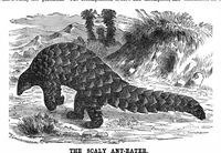 Picture 12 of 16 from Scientific American, Vol. 33, No. 9 (1875) (1875), leaf 8