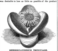 Picture 12 of 14 from Scientific American, Vol. 33, No. 11 (1875) (1875), leaf 8