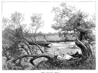 An illustration from Scientific American, Vol. 33, No. 12 (1875) (1875)