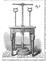 An illustration from Scientific American, Vol. 33, No. 14 (1875) (1875)